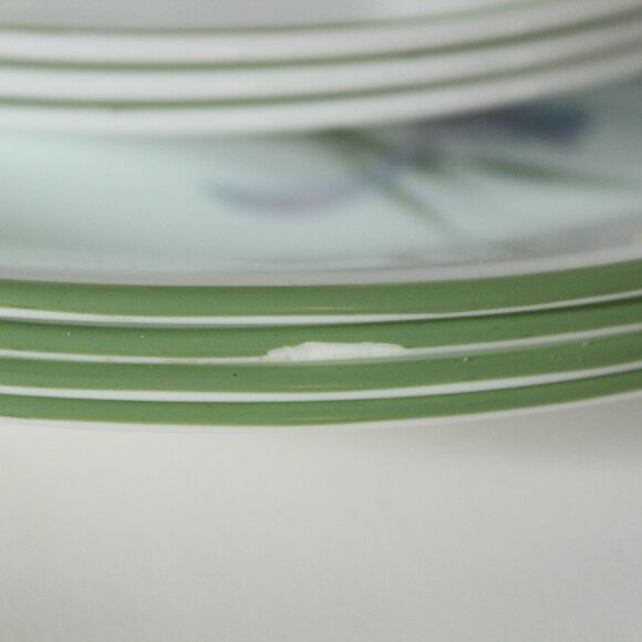 Corelle Shadow Iris Pattern Lot of 10 Pieces - Picture 8 of 9